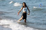 Nisha Kothari Spicy Gallery 2  - 15 of 62