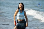 Nisha Kothari Spicy Gallery 2  - 21 of 62