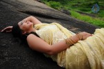 Nisha Sha Hot Gallery - 12 of 52