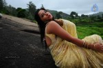 Nisha Sha Hot Gallery - 43 of 52