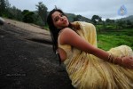 Nisha Sha Hot Gallery - 51 of 52