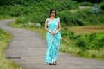 Nisha Shah Hot Gallery - 4 of 54