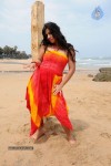 Nisha Shah Spicy Photos  - 5 of 83