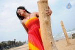 Nisha Shah Spicy Photos  - 52 of 83