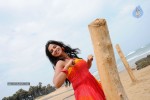 Nisha Shah Spicy Photos  - 57 of 83