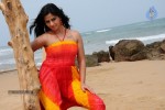 Nisha Shah Spicy Photos  - 59 of 83