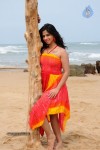 Nisha Shah Spicy Photos  - 66 of 83