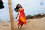 Nisha Shah Spicy Photos  - 75 of 83