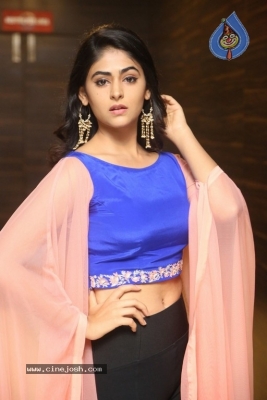 Palak Lalwani Photos - 11 of 39