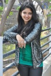 Pallavi Stills - 60 of 67