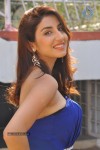 Parul Gulati Stills - 20 of 71