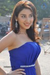 Parul Gulati Stills - 71 of 71