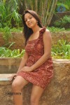 Pavani New Stills - 66 of 70