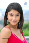 Payal Ghosh Hot Gallery - 52 of 60