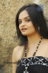 Payal Setti Photo Stills - 12 of 20