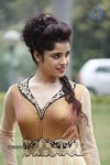 Piaa Bajpai New Stills - 16 of 63