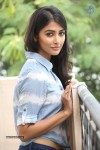 Pooja Hegde Gallery - 80 of 87