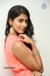 Pooja Hegde Latest Photos - 6 of 80