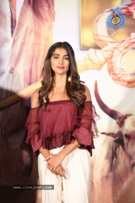 Pooja Hegde New Photos - 13 of 15