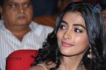 Pooja Hegde New Pics - 46 of 84