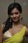 Pooja Hot Stills - 1 of 51