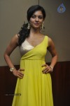 Pooja Hot Stills - 17 of 51