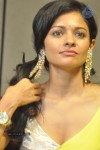 Pooja Hot Stills - 43 of 51