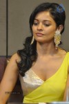 Pooja Hot Stills - 49 of 51