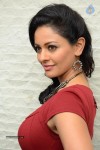 Pooja Kumar New Gallery - 7 of 81