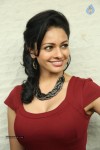 Pooja Kumar New Gallery - 13 of 81