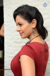 Pooja Kumar New Gallery - 68 of 81