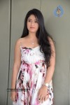 Poonam Bajwa Hot Gallery - 20 of 150