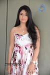 Poonam Bajwa Hot Gallery - 57 of 150