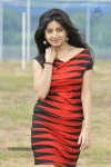 Poonam Kaur New Pics - 1 of 96