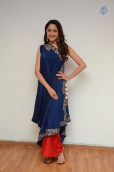 Pragya Jaiswal New Photos - 13 of 41