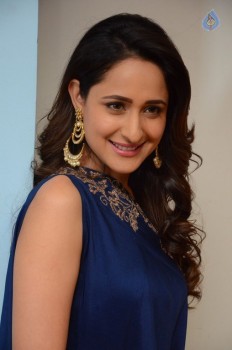 Pragya Jaiswal New Photos - 30 of 41