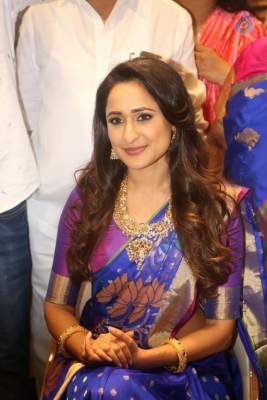 Pragya Jaiswal New Pics - 2 of 30