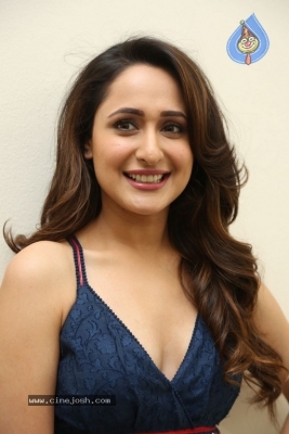 Pragya Jaiswal New Pics - 1 of 27