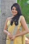 Praneetha Latest Stills - 43 of 58