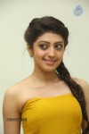 Praneetha New Photos - 15 of 65
