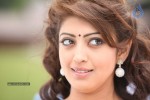 Praneetha Stills - 7 of 23