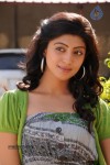 Pranitha Latest Gallery - 10 of 31