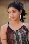 Pranitha Latest Gallery - 12 of 31