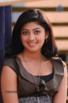 Pranitha Latest Gallery - 14 of 31