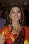 Pranitha Latest Stills - 80 of 93