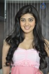 Pranitha Latest Stills - 13 of 51