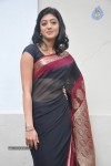 Pranitha New Gallery - 56 of 104