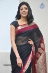 Pranitha New Gallery - 77 of 104