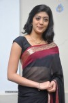 Pranitha New Gallery - 79 of 104