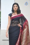 Pranitha New Gallery - 91 of 104